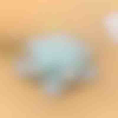 Drehbarer Behälter | SNACKARO